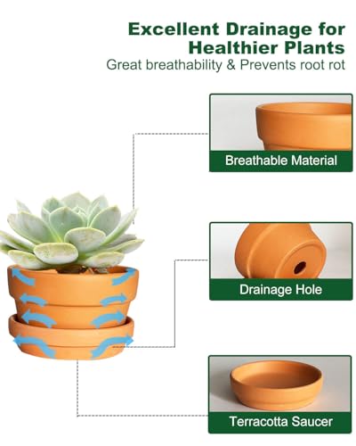 4.5 Inch Shallow Terracotta Plant Pots - 6 Pack Small Clay Flowerpot with Drainage Hole, Terra Cotta Succulent Pot for Indoor Outdoor Plants - size: 4.5 inch