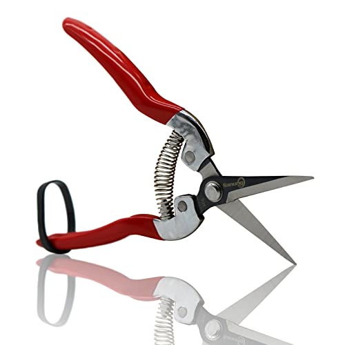 Sanung Pruning Shears Garden Tools Shears Lasting Sharp Labor-Saving for Trimming Plants Fruit Branches Shrub and Flower Suitable for Parks and Courtyard