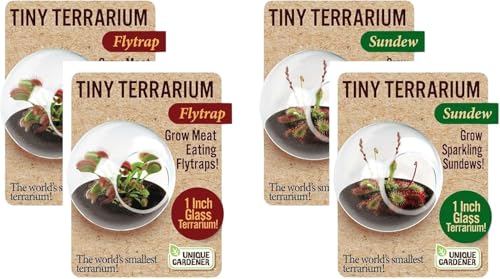 Unique Gardener Tiny Terrarium Plant Seeds 2 Variety Pack, DIY Indoor Succulents and Live Plants for Home or Garden Planting, 2 Eack of Assorted Carnivorous Pack - style: 4 Pack Carnivorous