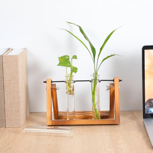 Kisangel 4pcs Plant Glass Test Tube, Clear Plant Propagation Tubes Hydroponic Glass Flower Vases for Home Garden Arrangement Water
