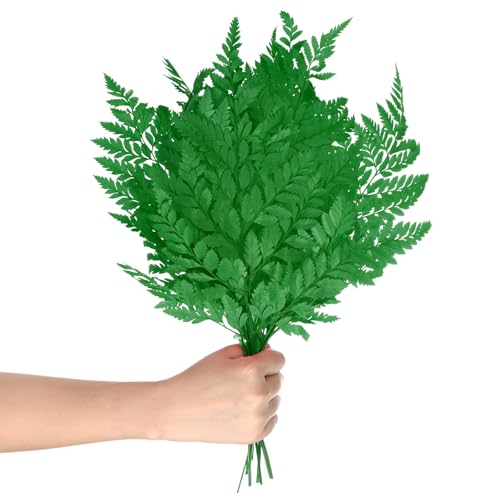M METERXITY 10-Pack Fern, 15" Natural Dried Greenery with Stems for Wedding Garland Bouquet/Home Party/DIY Crafts Decors, Dried Plants [Dark Green] - color: Dark Green