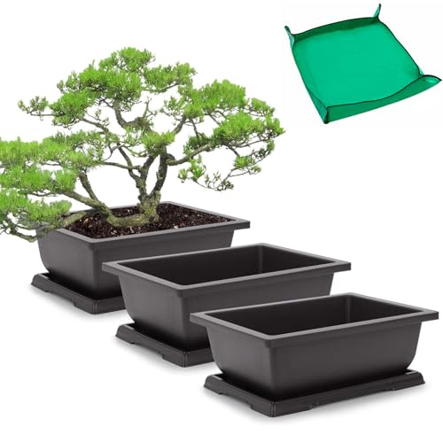 GROWNEER Bonsai Training Pots 3 Packs 9Inch with Drainage Humidity Trays, Bonsai Tree Starter Kits with 1 Repotting Mat, Growing Planter Set for Garden, Yard, Balcony, Office, Living Room - size: 3pcs/9x6.6in