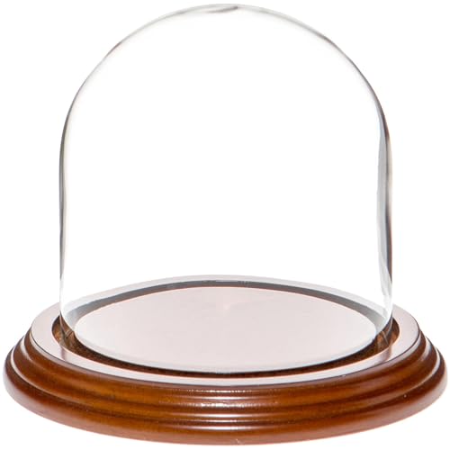 Plymor 4" x 4" Glass Display Dome Cloche (Walnut Veneer Base) - color: Walnut Veneer Base