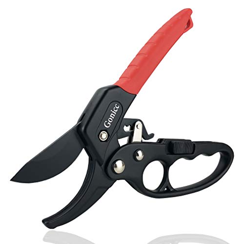 gonicc 8" Professional Ratchet Anvil Pruning Shears (GPPS-1011) | Ratcheting Mechanism, Anvil groove design, Reinforced Design Handle, Garden Shears Clippers, Hand Tools Scissors - color: Black Ratchet Anvil Pruning Shears
