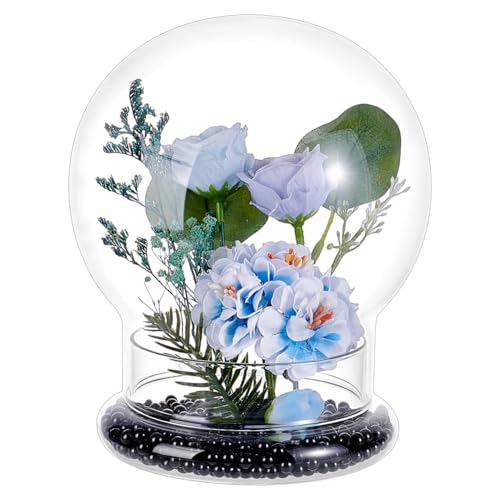 PH PandaHall Glass Dome Cloche 5.5x6.5inch Clear Terrarium Planter with Base Tabletop Display Terrarium for Indoor Plants Succulents Cactus Tabletop Home Decoration - size: 5.5x6.5inch