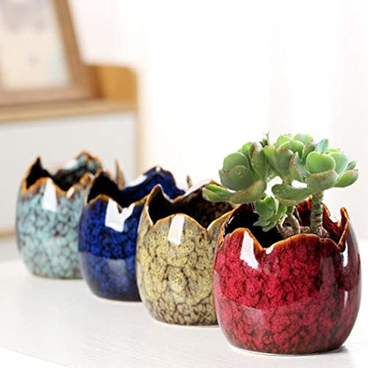 Simcat Succulent Pots with Drainage Half Dragon Egg Shell Design Sets 4 PCS