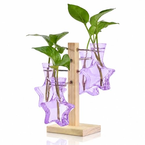 Plant Terrarium Propagation Stations: Purple Vase with Wooden Stand | Clear Glass, Star Shaped, Home Table Decor, Birthday Gifts for Plant Lovers Women Mom Wife - color: Purple