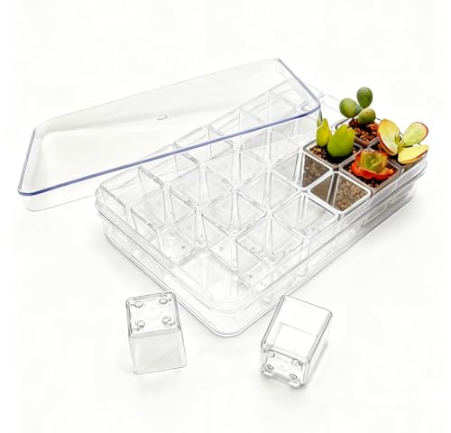 24pcs Super Tiny Mini Clear Plastic Planter, 1.1" Small Succulent Nursery Pots with Drainage Hole & Storage Box with Lid (Lid for Storage Only)，Micro Plants Pots for Root Viewing, Home Decor - color: 24pcs Flowerpots + Box