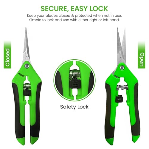 GARDEN GURU Razor Sharp Snip – Professional Garden Pruning Shears Trimmers – Super Sharp Micro-Tip Precision Stainless Steel Blades - Ergonomic Handles Easy on Arthritic Hands - 1 Case (100 Pcs) - size: 100 Pack, style: Snips