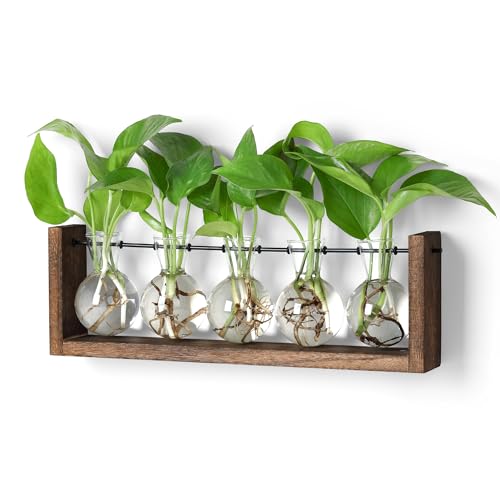 YIBOT Wall Hanging Glass Planter Plant Propagation Vase-5 Bulb Glass Vases - size: 5Bulb-M