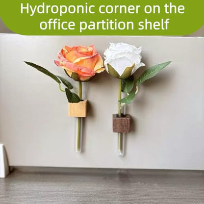 6PCS Mini Plant Propagation Station Set - Glass Test Tube Vases with Magnet and Adhesive Backed Wooden Holders for Window, Fridge, Wall, Office, Kitchen Decor, Home Plant Display
