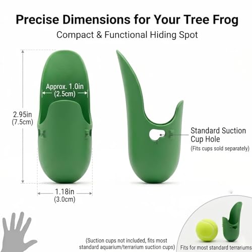 Dart Frog Soaking Pool with Anti-Drowning Ramp - Shallow Water Dish for Poison Dart Frogs & Amphibians, Bioactive Vivarium Supplies
