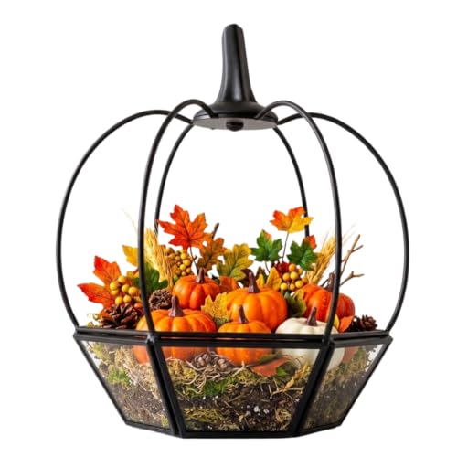 D'Eco Pumpkin Glass Terrarium, 7x7x8, Rustic Black Trim Geometric Planter