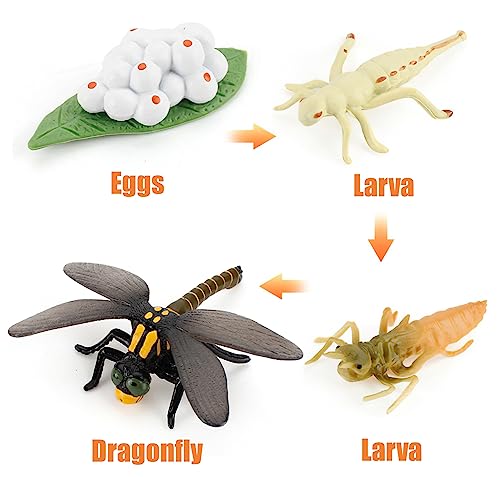 Montessori Life Cycle Animal Plastic Insect Figurines Learning & Education Toys for Kids, Preschool Activities (Dragonfly) - color: Dragonfly