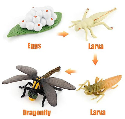 Montessori Life Cycle Animal Plastic Insect Figurines Learning & Education Toys for Kids, Preschool Activities (Dragonfly) - color: Dragonfly