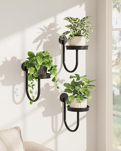 Bamworld Wall Plant Holder for Hanging Planters, Black, 3pcs