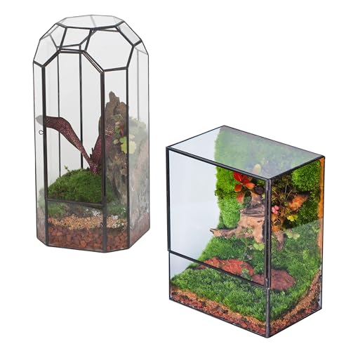 NCYP Glass Terrarium - Closed Tall Plant Terrarium with Door, and Rectangular Shape Closed Terrarium for Small Succulent Cacti, Ferns