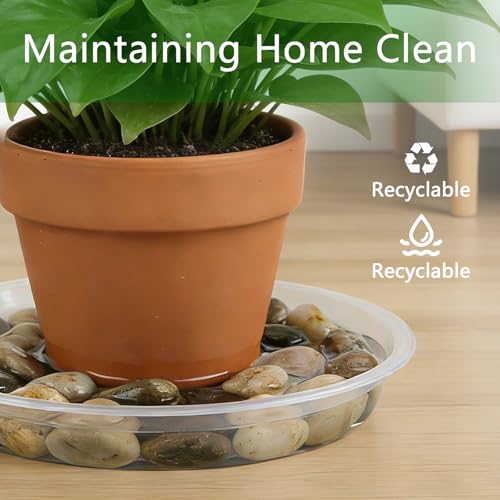 6Pack Plant Saucer, 3 5 7 9 11 13 15 17 19 21 in Plastic Plant Tray | Heavy Duty Plant Drip Trays, Clear Plastic Flower Pot Saucers, Plant Water Catcher Tray for Indoor Outdoor Planters (5 Inch) - size: 5 Inch