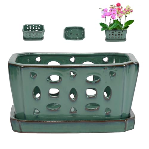 W&W Orchid Pot with Holes and Saucer for Repotting, Green, 9.7 Inches - color: Green 9.7”, size: 9.7"
