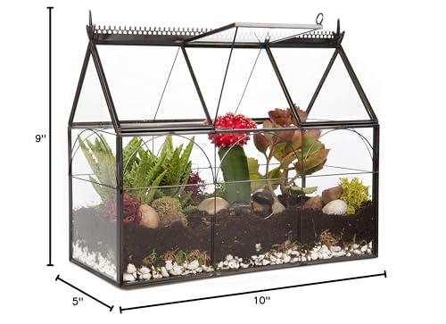 D'Eco Glass Greenhouse Plant Terrarium, Centerpiece & Wedding Letterbox | Tabletop Geometric Planter Terrarium, Dims 10x4.5x9", Fill with Succulents, Moss, Air Plants, Ferns & Seasonal Home Decor - size: Greenhouse