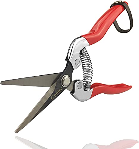 gonicc Micro-Tip Pruning Snips(GPPS-1008), Stainless Steel Garden Shears | Sharp micro-tip stainless steel blades make clean precise cuts for plants, flowers and herbs. Ergonomic non-slip handle. - color: Red Micro-tip Pruning Snip