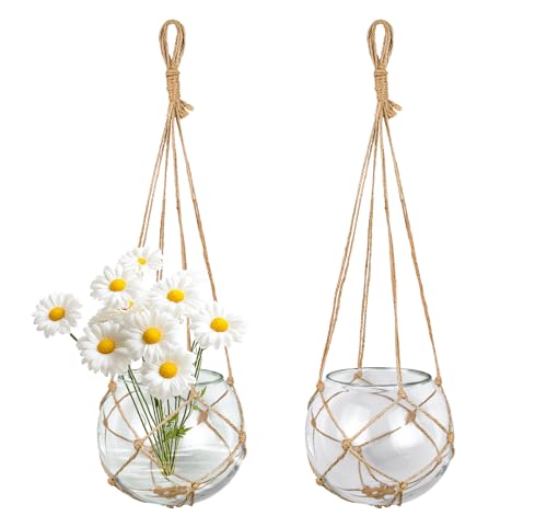 SAILINGSTORY Hanging Glass Plant Terrarium 5" Clear Set of 2 Pack