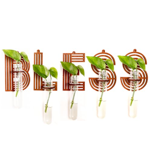 Bless Letter Wall Propagation Planters, Set of 5 Test Tube Plant Holders - size: 5PACK-BLESS