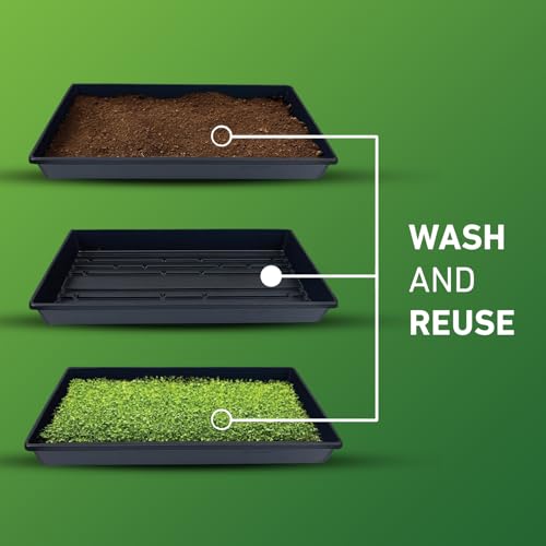 10x20 Inch Black Plastic 50 Pack Plant Propagation Tray No Holes - color: Black, size: 50-Pack