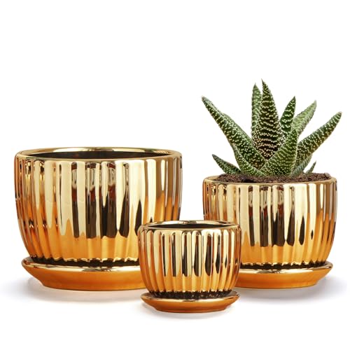 Plant Pots,Ceramic Flower Pots with Drainage Holes & Saucers Set of 3（Gold） | Ceramic Pots for Plants | Modern Indoor Plant Pots for Cactus | Decorative Small Flower Pots | Cute Planting Pots - color: Gold