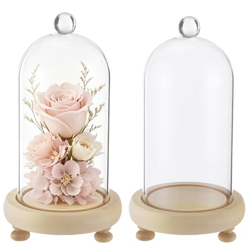 2PCS Glass Cloche Dome,Flower Glass Display Domes with Wooden Bases,Clear Decorative Cloche Jar Covers, 8.3 in and 7.9 in Tall Decorative Cases for Dried DIY Flowers Crafts Collectibles