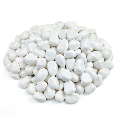 FANTIAN 10 lbs White Rocks for Landscaping, 1-2 Inch Small Pebbles | White River Rocks, Decorative Polished Pebbles Stones for Indoor Plants, Cactus, Terrarium, Vase Filler, Yard, Outdoor Garden - color: White, size: 10 lbs, 1-2 Inch