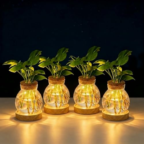 Plant Propagation Station with Light,Everkeen Glass Terrarium with Stepless Dimming Function Hydroponic Glass Container Vase Jars Gardening Gifts for Mom Women Plant Lovers 4 Pack - color: Clear 4 Pack