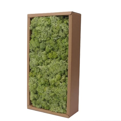 Preserved Reindeer Craft Moss-17.6oz Natural Green DIY Kit Gardenning Art Wall Florist Moss Terrariums Gardenning Decor Landscape Garden Decor(Shallow Green 17.6 OZ) - color: SHALLOW GREEN, size: 1.1LB