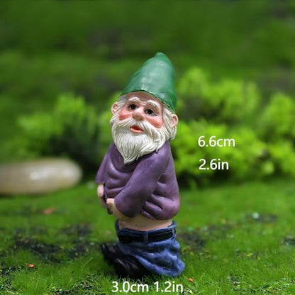 Miniature Garden Gnome Set with Campfire, 4 Piece Funny Gnome Figurines, Decorative Outdoor and Indoor Plant Pot Ornaments - style: Funny Gnomes