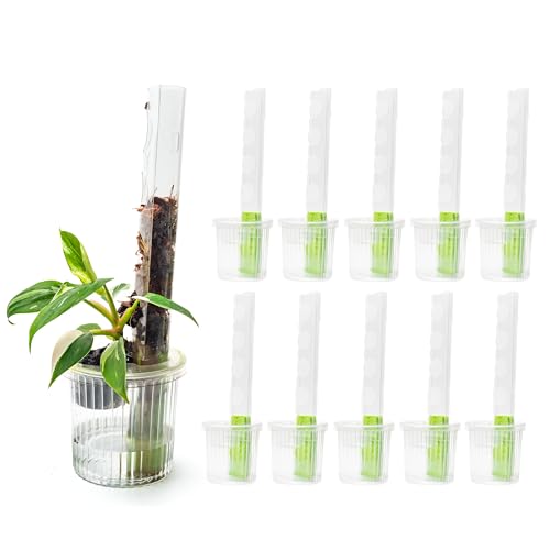 THICCLY Small GrowLid 10 Pcs (Clear) - Self Watering Clear D-Shaped Plastic Moss Pole Hydroponics Growing System Kratky Hydroponic Kit Moss Pole Monstera Plant Support Philodendron and Anthuriums - color: Clear