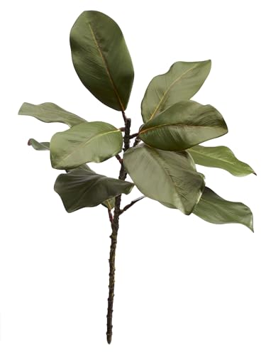 22'' Realistic Southern Magnolia Branches, Real Touch Leaves, Artificial Magnolia Picks for Home Décor, Set of 3 - size: Branches, Set of 3