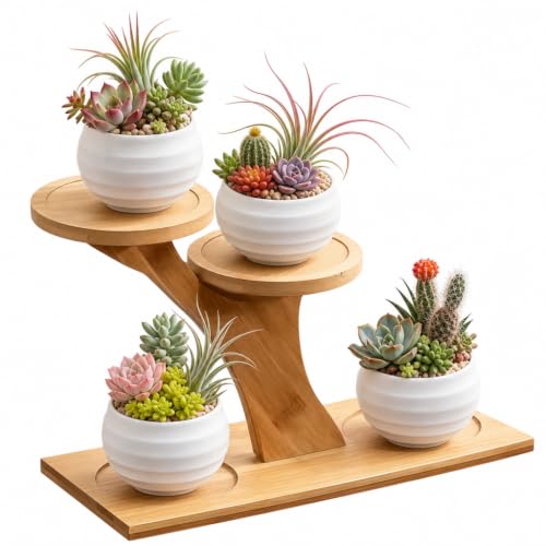 Bamboo Plant Stand, 3 Tier Window Sill Plant Shelf, Desktop Small Indoor Plant Stand, Bamboo Table Top Plant Shelf for Succulent Herb, Perfect for Window Sill, Living Room, Home Office, Patio Balcony Decor & Gift