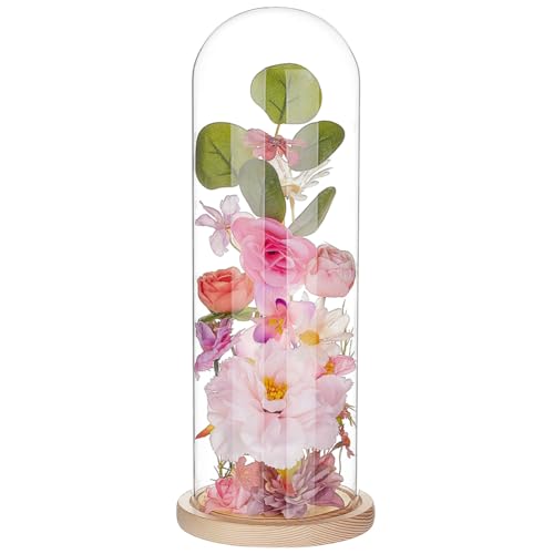 BENECREAT 14.4x5.6 Inch Glass Cloche Display Dome, Transparent Flower Glass Cover with BurlyWood Wooden Base for DIY Flower Craft Collectibles Specimens Plants Dustproof - color: Burlywood