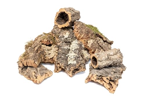 Assorted Virgin Cork Bark for Orchids, Reptiles & Terrariums – Natural Orchid Mounts, Vivarium Décor, Tarantula & Gecko Hides (3lbs)