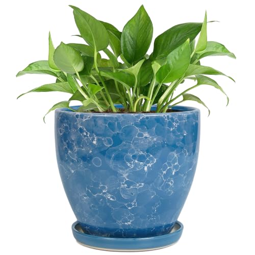 6 Inch Ceramic Plant Pot - Ceramic Planters Indoor, Blue | Round Decorative Planter with Drainage Hole and Saucer, Modern Planters, Desk Office Decor, Housewarming Gifts - color: Sky Blue, size: 6 Inch