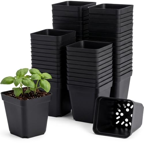 50 Packs Square Nursery Pots for Plants 2.8 Inch Seedling Pots | Plastic seed starter pots for seedlings and succulents; square planter nursery pots in assorted sizes work as flower pots. - size: 2.8 Inch