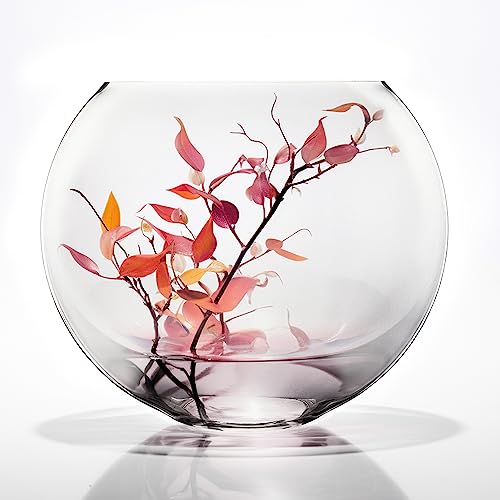 CYS EXCEL Glass Moon Vase Oval Bowl (H:11.75" L:14") | Multiple Size Choices Round Flower Vase Centerpiece | Plant Terrarium Bowl Vase - size: H-11.75" L-14"