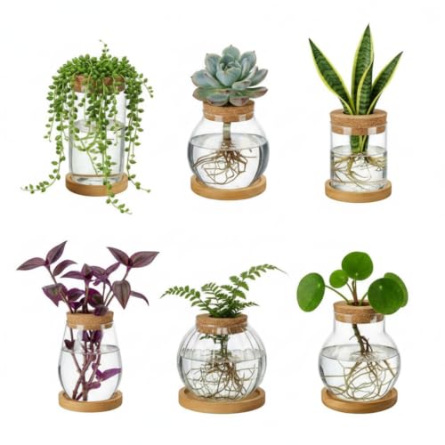 Honeydak 6 Pcs Plants Propagation Stations Planter Terrariums with Wooden Lid and Bamboo Stand Desktop Ribbed Glass Propagation Vases for Plant Growing Hydroponic Home Office Tabletop Decoration - color: Vertical Ribbed Bottle