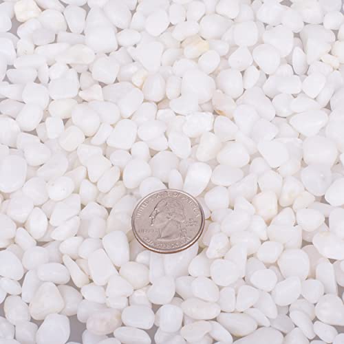 6.0 LB White Polished Pebbles 3/8", Natural Decorative Smooth River Rocks, Gravel Size White Small Pebble Stone for Succulent, Bonsai, Potted Plants, Landscaping, Fairy Garden, Aquarium - size: 6.0 LB