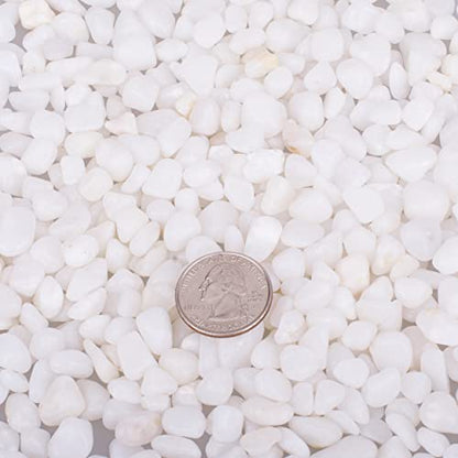 6.0 LB White Polished Pebbles 3/8", Natural Decorative Smooth River Rocks, Gravel Size White Small Pebble Stone for Succulent, Bonsai, Potted Plants, Landscaping, Fairy Garden, Aquarium - size: 6.0 LB