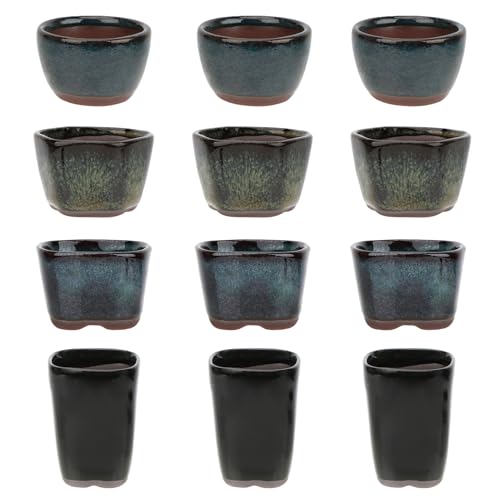 Bonsai Planter 8/12/20 pc Mini Glazed Pots Succulent 1.6 Inch