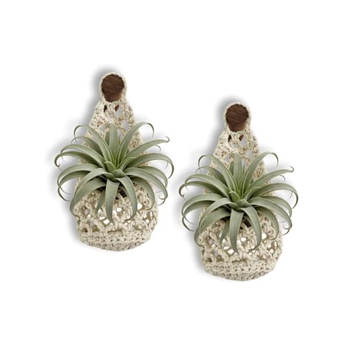 Macrame Plant Hanger Set of 2, Boho Wall Hanging Planter for up to 4" Pots | Handwoven Cotton Rope Wall Decor with S-Hooks for Indoor Plants in Living Room, Bedroom & Office - color: 2 Pcs White, size: 4 Inch
