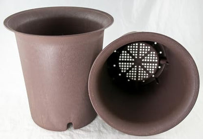Yubonzai 3 Mix Round Cascade Plastic Bonsai Training Pot, Cactus & Succulent, Orchid Planter 6.5" + 7.75" - Tan Color