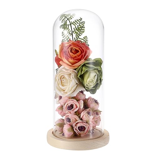 JUXYES Tall Glass Display Dome Cloche with Solid Wood Base, 4x10 Inches | Clear Glass, Dust Proof, Bell Terrarium Jar, For Plants, Collectible Figures, Keepsakes