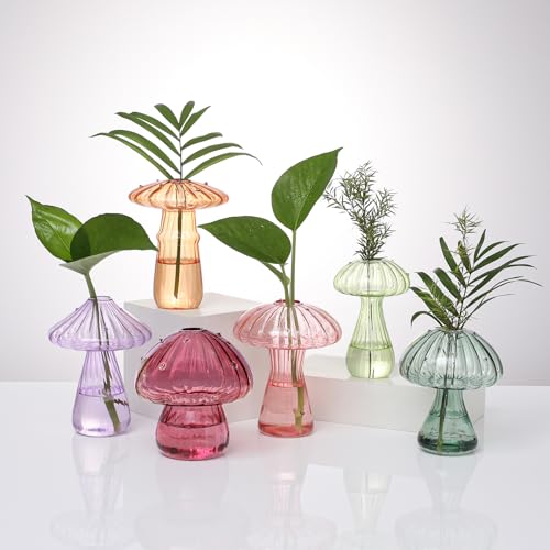 Mushroom Glass Propagation Terrarium Vases for Plants Set Colored of 6